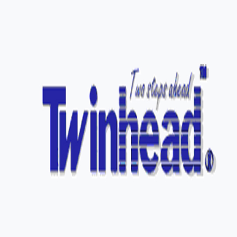 Twinhead logo